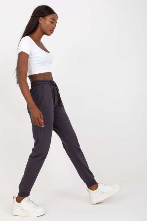 Spodnie Dresowe Model B-006.93 Grafit - BFG Spodnie Dresowe Model B-006.93 Grafit - BFG