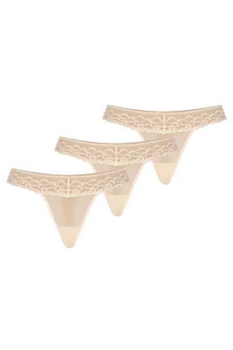 Stringi Komplet stringi Model Leo 302-3 Beige - Teyli Stringi Komplet stringi Model Leo 302-3 Beige - Teyli