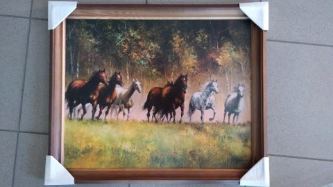 Obraz w drewnianej ramie 40x50 KONIE Obraz w drewnianej ramie 40x50 KONIE