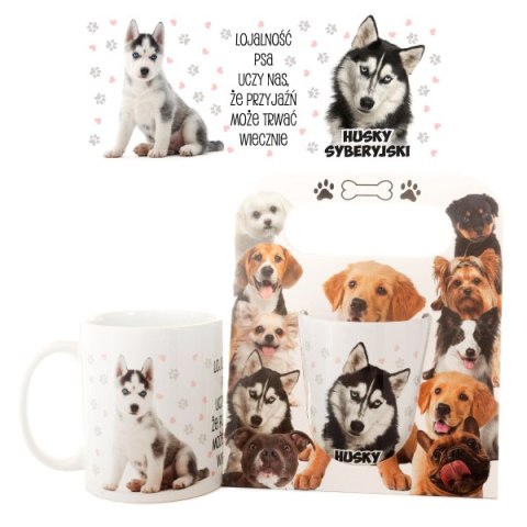 Kubek ceramiczny w ozdobnym opakowaniu - Husky Syberyjski - "Lojalność psa uczy nas..." Kubek ceramiczny w ozdobnym opakowaniu - Husky Syberyjski - "Lojalność psa uczy nas..."